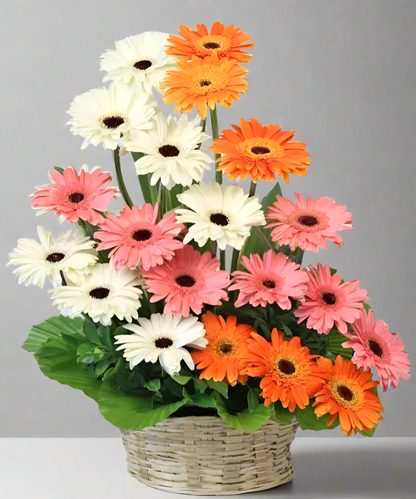 Basket Of Mix Jarberas