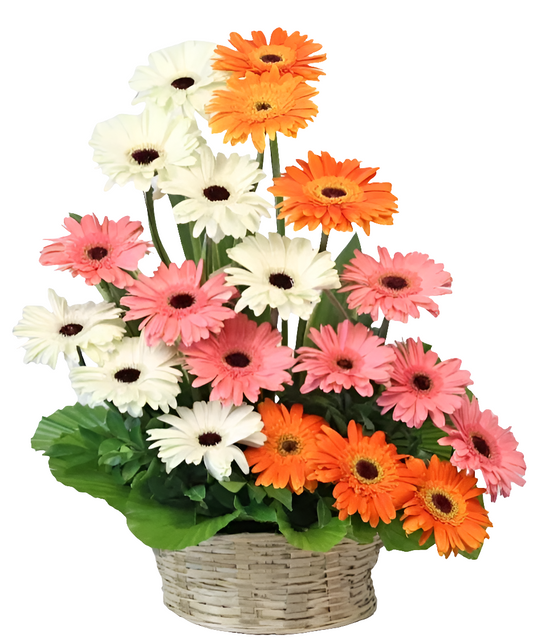 Basket Of Mix Jarberas